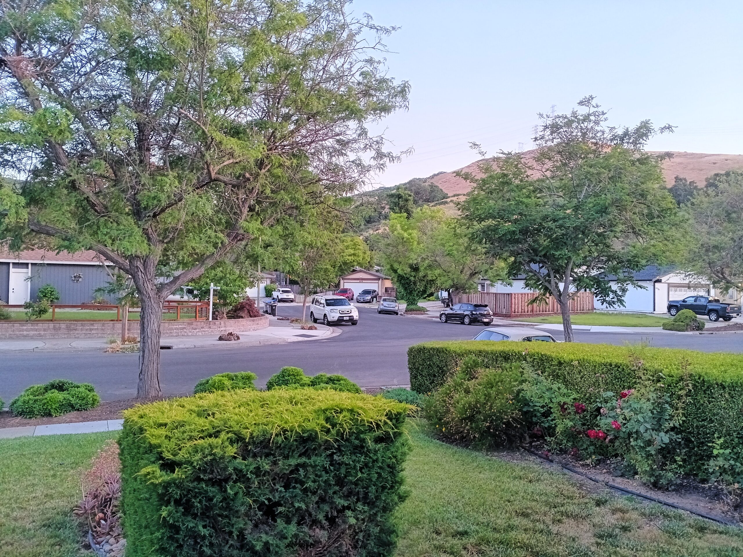 TCL 50 XL 5G review camera sample