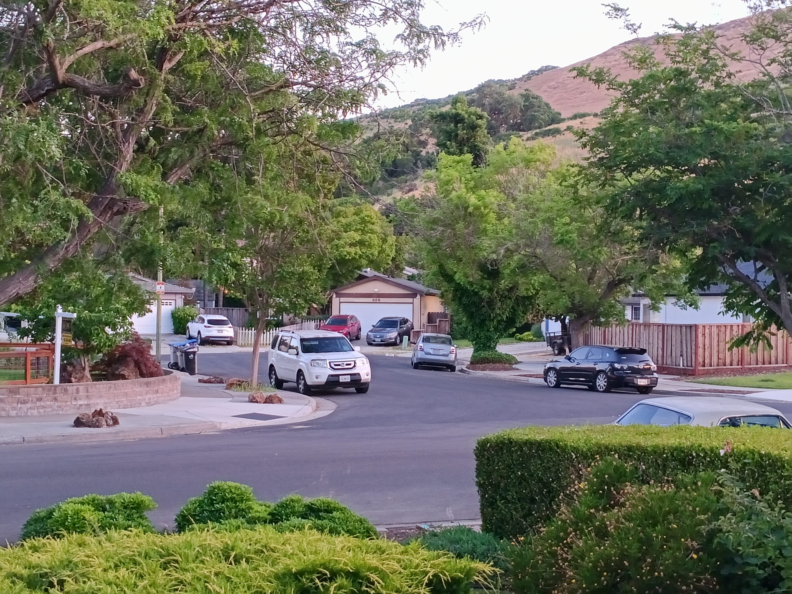 TCL 50 XL 5G review camera sample