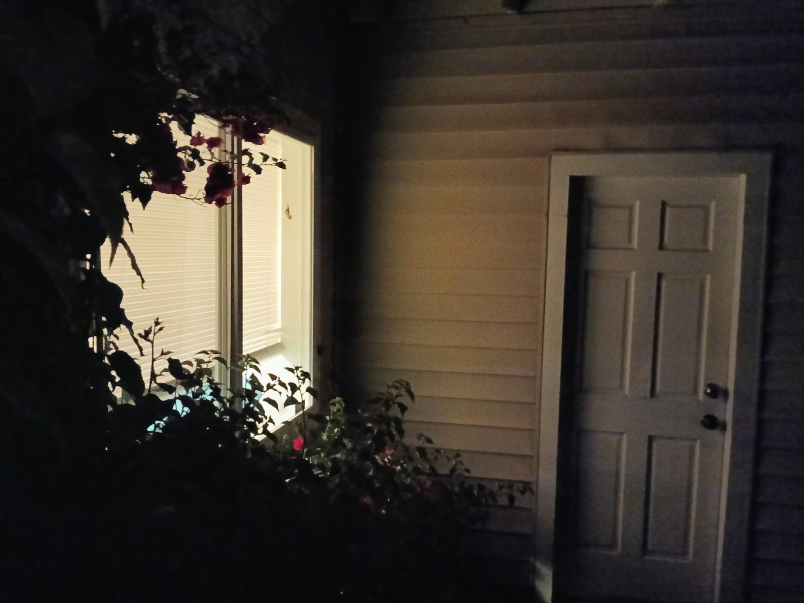 TCL 50 XL 5G camera sample