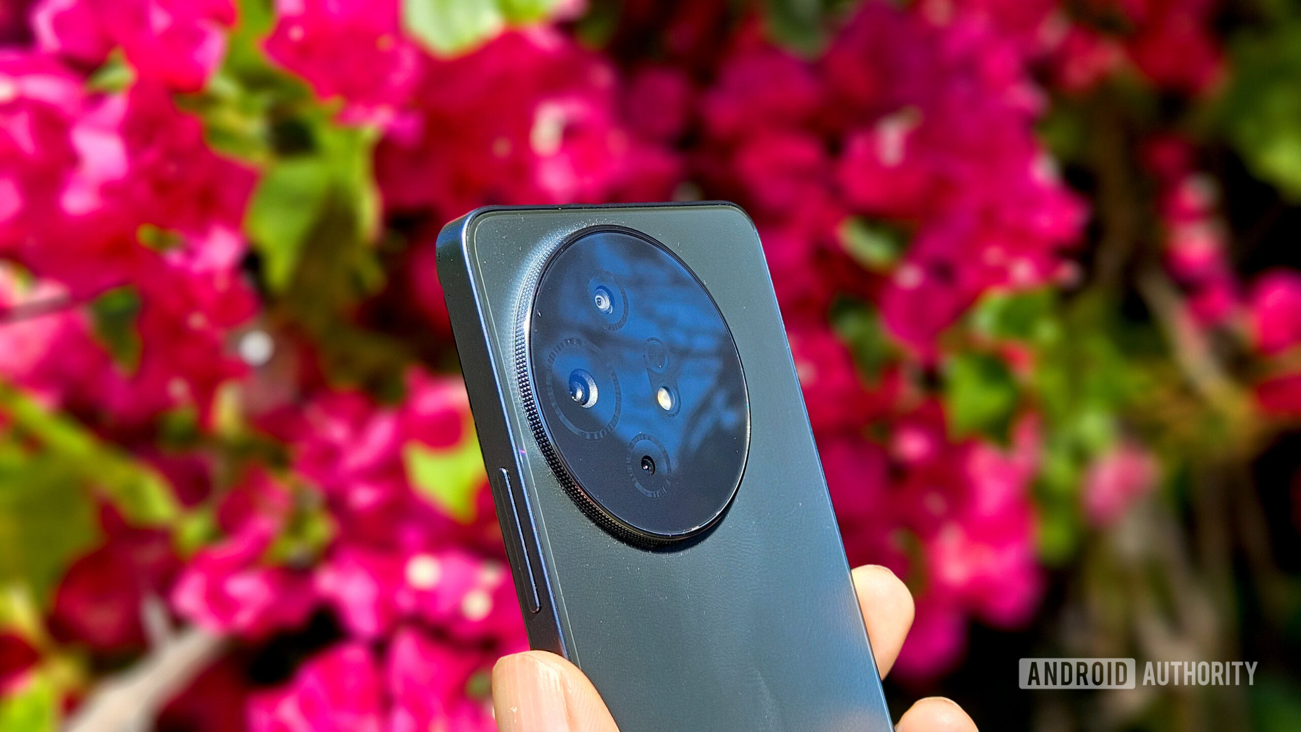 TCL 50 XL 5G Review image 5